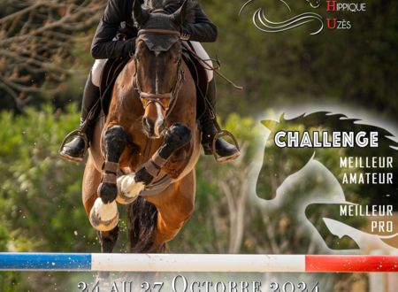 Haras National d'Uzès - Concours de saut d'obstacle - Organisé par la SHU 