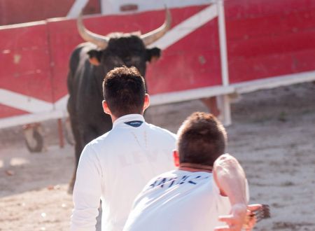 Courses Camarguaises Challenge 2026 de la Terre d'Argence à Beaucaire 
