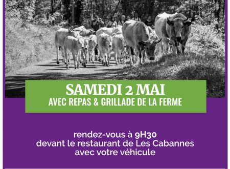 Petite transhumance avec La Maison Lacube 