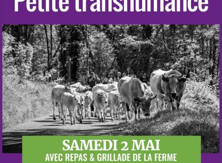 Petite transhumance avec La Maison Lacube 