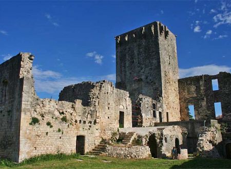 Visite du Château de Montclus 