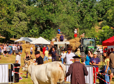 Foire de la Madeleine 