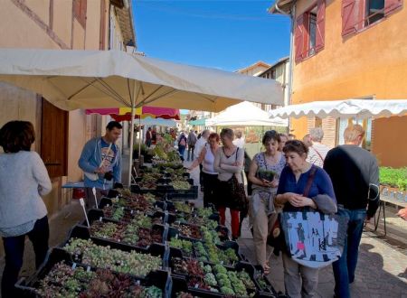 Marché aux fleurs 