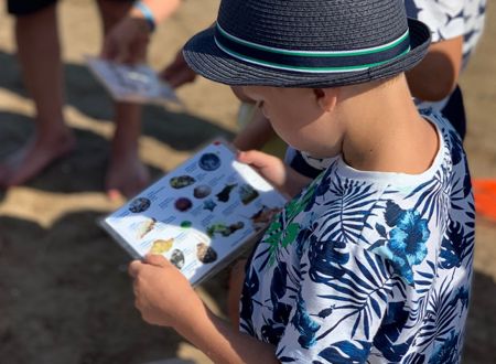 Oiseaux et autres petites bêtes 