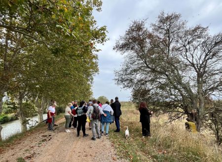 Visite guidée - Vias, du Canal du Midi aux Ouvrages du Libron 