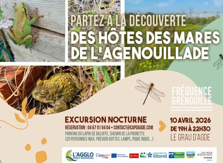 Partez à la découverte des hôtes des mares de l'Agenouillade 