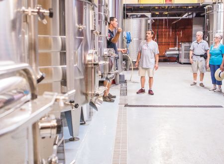 Dans les coulisses du vin : Visite guidée de la cave & dégustation commentée - Domaine Vayssette 