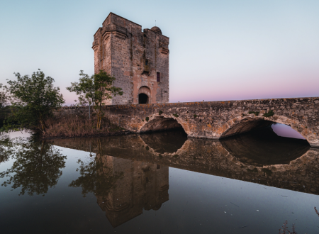 Visites guidées de la Tour Carbonnière - Office de Tourisme Terre de Camargue 