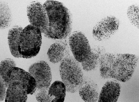 Avril en Cavale : le vol du siècle - Avril en balade 2026 