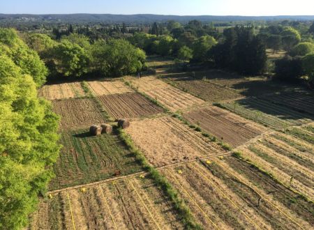Visite de la ferme, maraîchage en agroforesterie et apiculture - Avril en balade 2026 