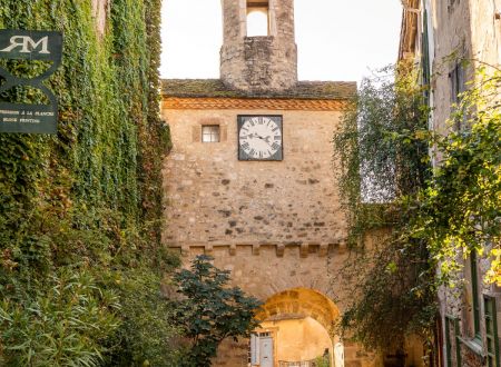 Visite guidée de Cordes sur Ciel : l'incontournable 