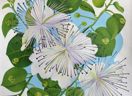 Exposition - Butinerie - Perrine PÉe 