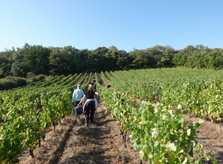 Entre ciel et terroir - Avril en balade 2026 