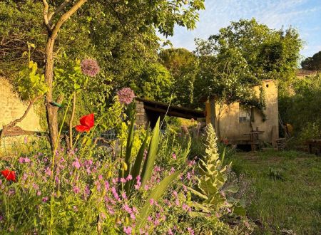 Balade botanique - Avril en balade 2026 