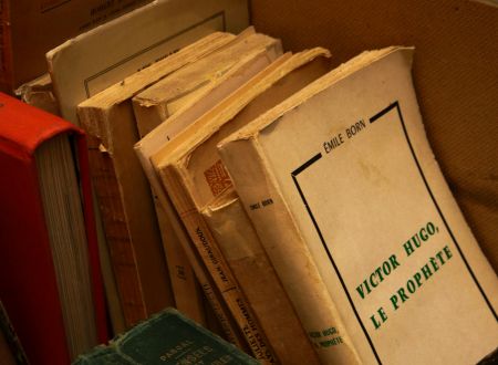 Les appaméennes du livre - Salon 