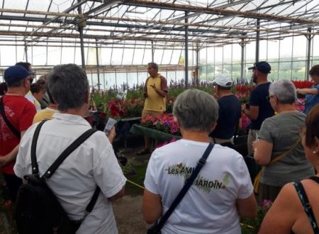 Visite guidée : La plantation des légumes et autres plantes 