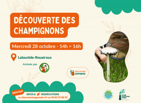 À la découverte des champignons 