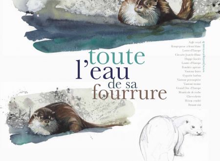 Exposition -Toute l'eau de sa fourrure 
