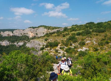 Balade insolite à la découverte des plantes sauvages comestibles à l’ermitage de Collias 