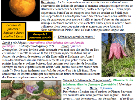 Balade nocturne à la pleine lune 