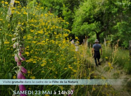 Fête de la nature - Rando Nature à Trébas 