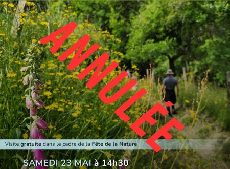 Fête de la nature - Rando Nature à Trébas 