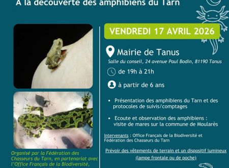 Sortie nocturne « À la Découverte des Amphibiens du Tarn » 