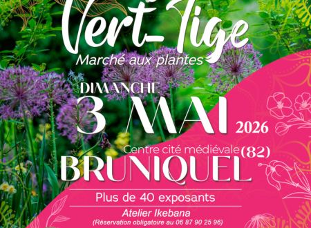 Marché aux plantes Vert-Tige 