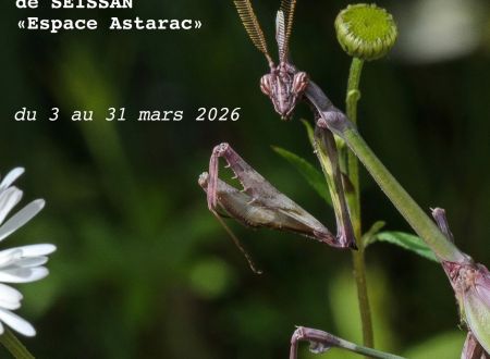 Exposition photos Paolo Magni 