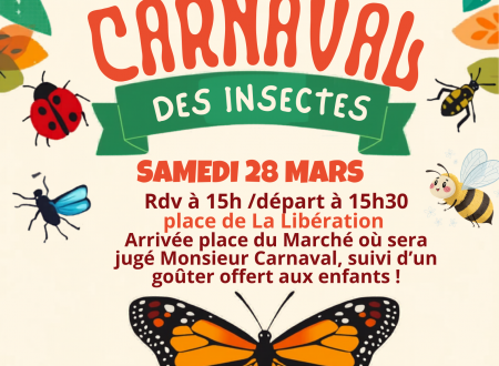 Carnaval de Sommières 