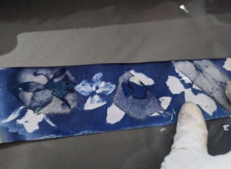 Journée Balade découverte et atelier Cyanotype 