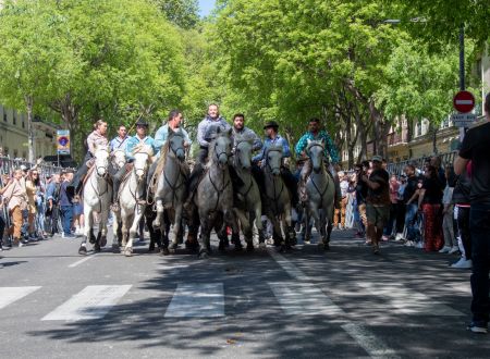 Abrivado Printemps de l'aficion 