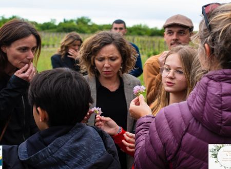 Plantes sauvages comestibles 