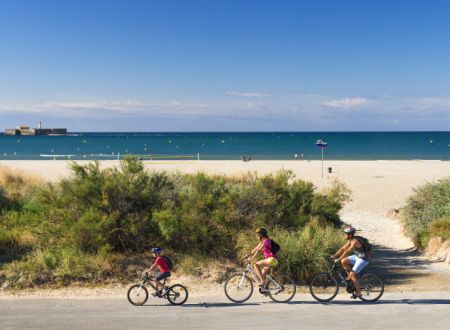 Bicyclette et flamants roses 