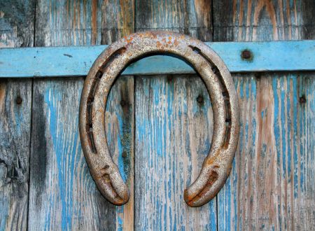 Visites guidées du Haras National d'Uzès - Uzès, Ville d'art et d'histoire 