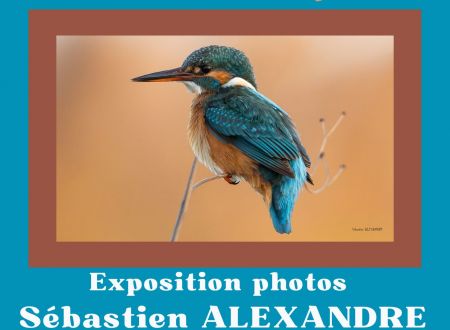 Exposition - Trésors de la Nature en Terre d'Argence 