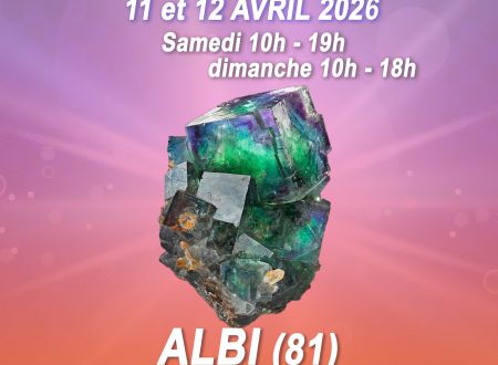 Salon minéraux, fossiles, bijoux de créateur. 