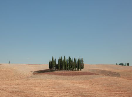 Exposition «Metamorphosis» 