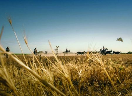 Exposition photos - Camargue, une terre de passion de Jech Photographie et Hervé Chatel 