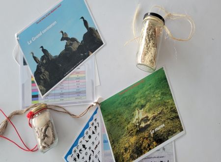 Jeu de piste sur la biodiversité 