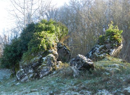 Découverte d’un site classé: préhistoire, géologie, paysages faune et flore 