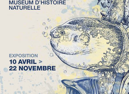 Eau, l’expo & Aqua-Museum 