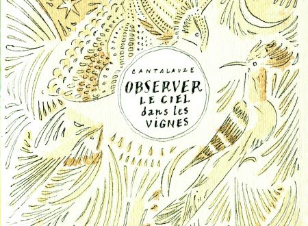 Balade ornithologique 