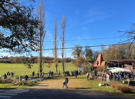 Marché aux plantes & produits locaux 