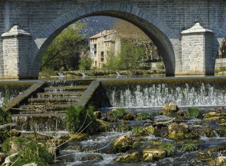 Escape Game du Vidourle - Graine de Jade 