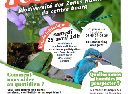 Balade initiatique - Biodiversité des zones humides du centre bourg 