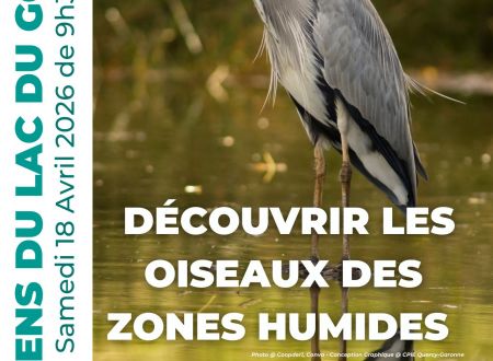 Sortie nature A LA DECOUVERTE DES OISEAUX du LAC du GOUYRE 