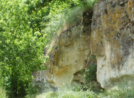 Animation Natura 2000 biodiversité des zones humides 