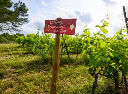 Les Vignes Buissonnières 2026 