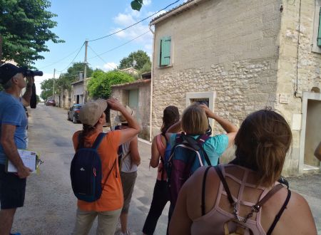 Balade - Hirondelles et martinets de la Réserve Naturelle 